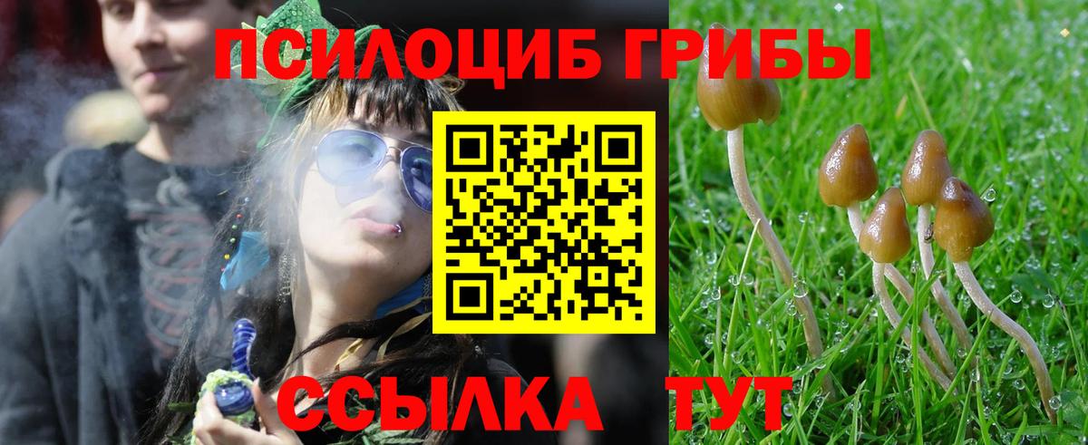 Псилоцибиновые грибы мицелий Елизово