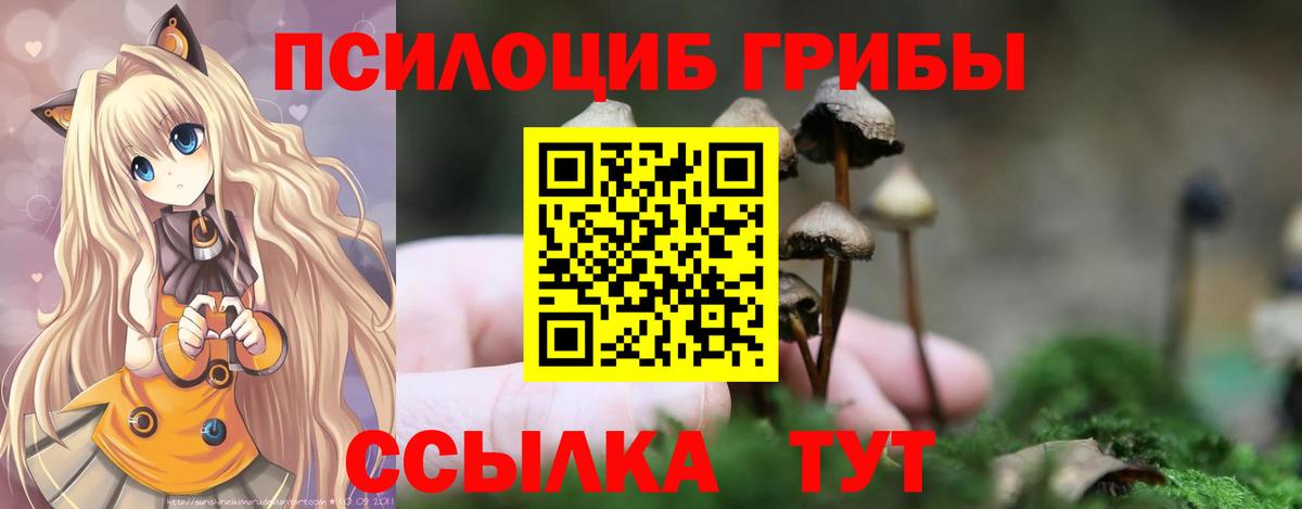 Елизово  Псилоцибиновые грибы мицелий  Галлюциногенные грибы мухоморы  Вход с VPN 